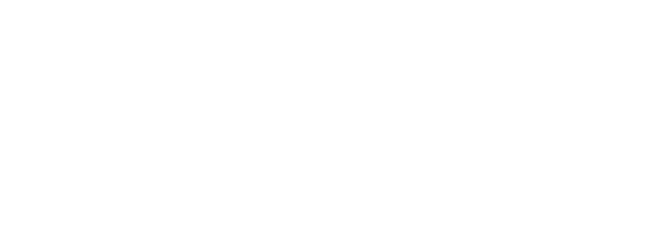 Logo Salpa